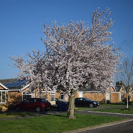 Bed and Breakfast Wings Oakham Exteriér fotografie